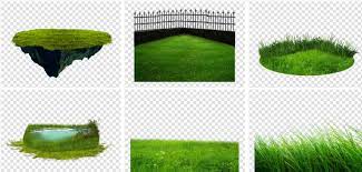 Grass Png Images Free Download Grass Clipart Grass Grass Flower
