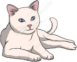 Image Result For Baby Panda Bear Laying Down Clipart Cat Vector Cat With Blue Eyes Cat Art