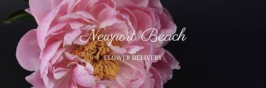 Тур в отель iz flower side beach. The 9 Best Options For Flower Delivery In Newport Beach 2021