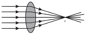Check spelling or type a new query. Lensa Cembung Sering Disebut Dengan Lensa Pengumpul Konvergen Sedangkan Lensa Cengkung Sering Brainly Co Id