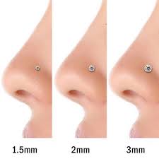 Https Www Google Co Jp Blank Html Nose Piercing Jewelry Nose Piercing Stud Small Nose Piercing