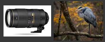 Nikon 80 400 Vs 300mm Vs 70 200mm Tcs