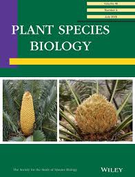 Image result for Eriochrysis pallida