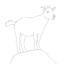 How To Draw A Goat Draw Central Animal Drawings Goat Paintings Animal Line Drawings