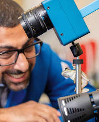 Discover the Living World