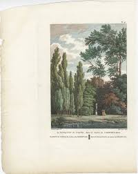 Hours, address, jardin de balata reviews: Antique Print Of The Grove Of Diana By Laborde 1808