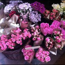 Check spelling or type a new query. 29 Best Italian Flowers Ideas Italian Flowers Flowers Italy