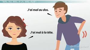 I have a ba in spanish and international relations from lake forest college in lake forest, il, and an ma in spanish language and culture from the university of salamanca in salamanca, spain. Body Parts In French Video Lesson Transcript Study Com