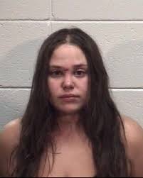 Woman Accused of Striking Channahon Police Officer and Damaging Property