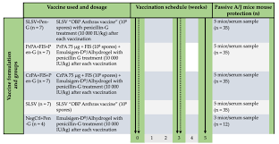 Vaccines Free Full Text Immunogenicity And Protective Efficacy Of A Non Living Anthrax Vaccine Versus A Live Spore Vaccine With Simultaneous Penicillin G Treatment In Cattle Html