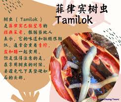 中國新聞網 中國僑網 香港文匯報 新民晚報 泉州晚報 晉江經濟報 僑鄉科技報 菲律賓華裔青年聯合會 菲華商聯總會 中國駐菲律賓大使館 中國彩虹網. Sin Chung Tours Sdn Bhd Johor Bahru Facebook
