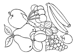 Tropical fruit fruit coloring pages for adults. Tropical Fruits Coloring Pages Coloring And Drawing