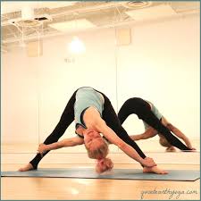Prasarita Padottanasana Variation What A Twist