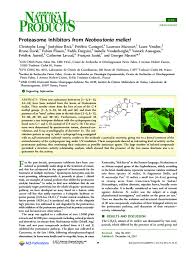 Image result for Neoboutonia melleri