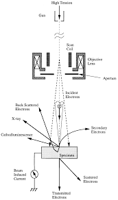 See more of free download laptop motherboard schematic diagram on facebook. Schematic Diagram Of An Sem Download Scientific Diagram