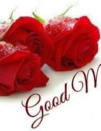 Romantic Good Morning Images Free Download Good Morning Images Morning Images Good Morning Quotes Romantic morning good morning image hd.