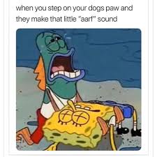 Cute spongebob hd wallpaper, picture cartoon spongebob moves, picture dp bbm spongebob funny moves. Got A Dog Problem And About To Give Up Funny Spongebob Memes Funny Relatable Memes Funny Jokes