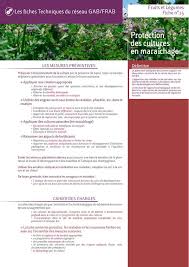 Fiches Fruits Et Legumes Reseau Gab Frab Fruits Et Legumes Jardinage Bio Agroecologie