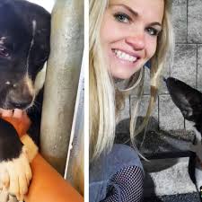 Rührend: Hund im Tierheim hält mit jedem Besucher Händchen