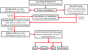 Dept of radiology, vancouver general hospital, vancouver, canada. Chronic Lung Allograft Dysfunction Definition Diagnostic Criteria And Approaches To Treatment A Consensus Report From The Pulmonary Council Of The Ishlt The Journal Of Heart And Lung Transplantation