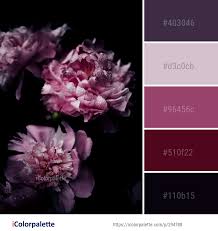 Color Palette Ideas From 1806 Blossom Images Icolorpalette Color Palette Color Schemes Colour Palettes Purple Color Palettes