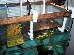 Some use toxic materials unknowingly and end up doing more harm than good to. The Best Pet Turtle Basking Platform Is Custom Made Turtle Tank Turtle Basking Platform Pet Turtle