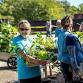 Dr. Compton Native Tree & Plant Sale: Spring
