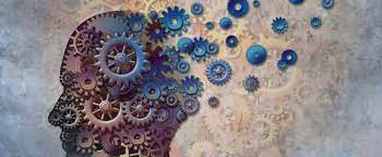 The prime study of the immunotherapy agent aducanumab for alzheimer's disease made big news recently. No Aducanumab Is Not An Alzheimer S Drug Either Evaluate