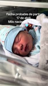 Bebé Vita Y Bebé Milo