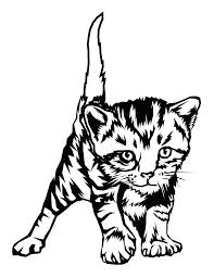 Realistic Cat Coloring Pages Tabby Cat Coloring Pages At Getdrawings Cat Coloring Page Kittens Coloring Puppy Coloring Pages