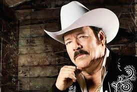 Acordeón y Bajosexto