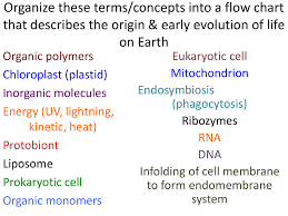 Cells Powerpoint Class On The Moon