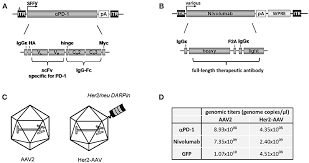 Image result for White 1998 AAV