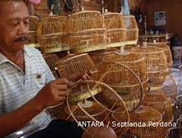 Dan informasi ini di ambil. Sangkar Istimewa Bagi Burung Kesayangan