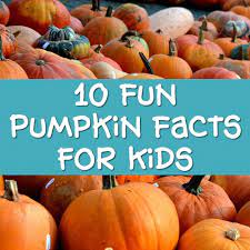 Read on for some hilarious trivia questions that will make your brain and your funny bone work overtime. Pumpkin Facts For Kids Fun Trivia And Info