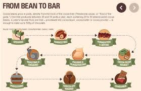 Syngenta Canada On Twitter Cocoa Theobroma Cacao Beans