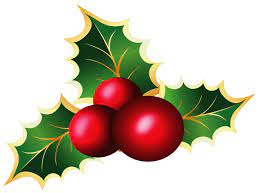 Transparent Christmas Mistletoe Png Picture Christmas Holly Christmas Paintings Christmas Decorations