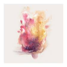 amateur-rants' collection