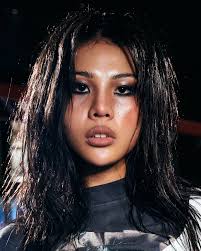 Image result for Glamour Turquoise 1994 Shadow