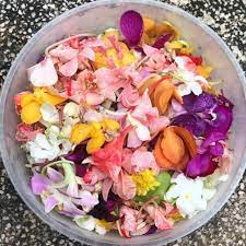 Pohon bidara memiliki kedudukan dalam agama islam. Aura Positif Yang Akan Membuatkan Orang Suka Pada Anda Dengan Mandi Limau Semak Lagi 4 Kebaikan Lain Hijabista