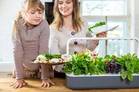 Click Grow Smart Garden 9