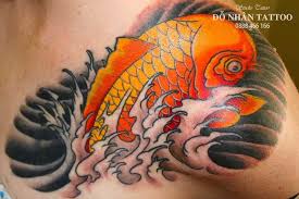 Loài cá tuyệt đẹp này có nhiều màu sắc và mỗi màu mang 1 ý nghĩa biểu tượng riêng. Y NghÄ©a Hinh XÄƒm Ca Chep Ä'á»— Nhan Tattoo