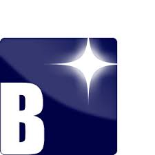 Image result for Vert Ottoman 1995 Renault