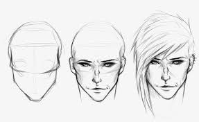 I've found that drawing the male human body challenging, even comparing to drawing the female human use a reference if you need to draw the human anatomy in various actions and in different. Banner Black And White Collection Of Anatomy High Quality Male Face Anatomy Drawing 3895x2209 Png Download Pngkit