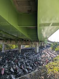 Conrad Benz (@conradlbenz)