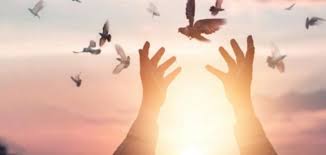 We did not find results for: ØªÙØ³ÙŠØ± Ø­Ù„Ù… Ø§Ù„Ù…ÙŠØª ÙŠØ´ØªÙƒÙŠ Ù…Ù† Ø¹ÙŠÙ†Ù‡ ÙÙŠ Ø§Ù„Ù…Ù†Ø§Ù… Ù„Ø§Ø¨Ù† Ø³ÙŠØ±ÙŠÙ† Ù…ÙˆØ³ÙˆØ¹Ø© Ø§Ù„Ù…Ø¯ÙŠØ±