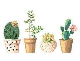 Kaktus Botanical Prints Decor Succulent Art Succulents Illustration
