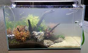 Sometimes you can tell by the color of the cloudiness. New Tank With Cloudy Water 2 Days After Setup How Do I Make It Clear Aquariums