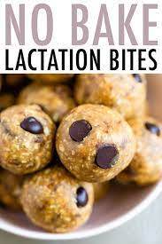 No Bake Lactation Bites Eating Bird Food Recipe Food Healthy Dessert Recipes Lactation