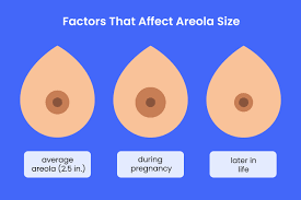 Large Areola: Should You Be Concerned?